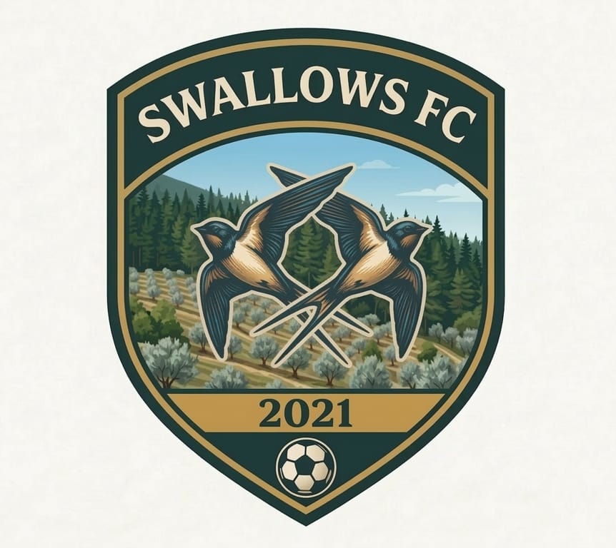 SWALLOWS FC